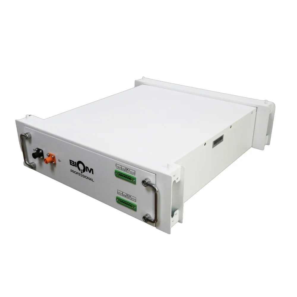 Аккумуляторная батарея Biom Professional HV 48В (51.2В) BAHV-100512-LFP 5кВтч