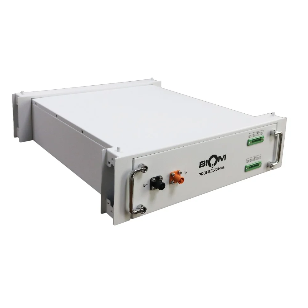 Аккумуляторная батарея Biom Professional HV 48В (51.2В) BAHV-100512-LFP 5кВтч