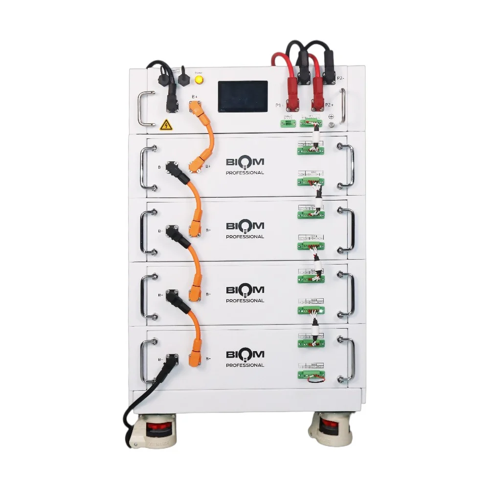Аккумуляторная батарея Biom Professional HV 48В (51.2В) BAHV-100512-LFP 5кВтч