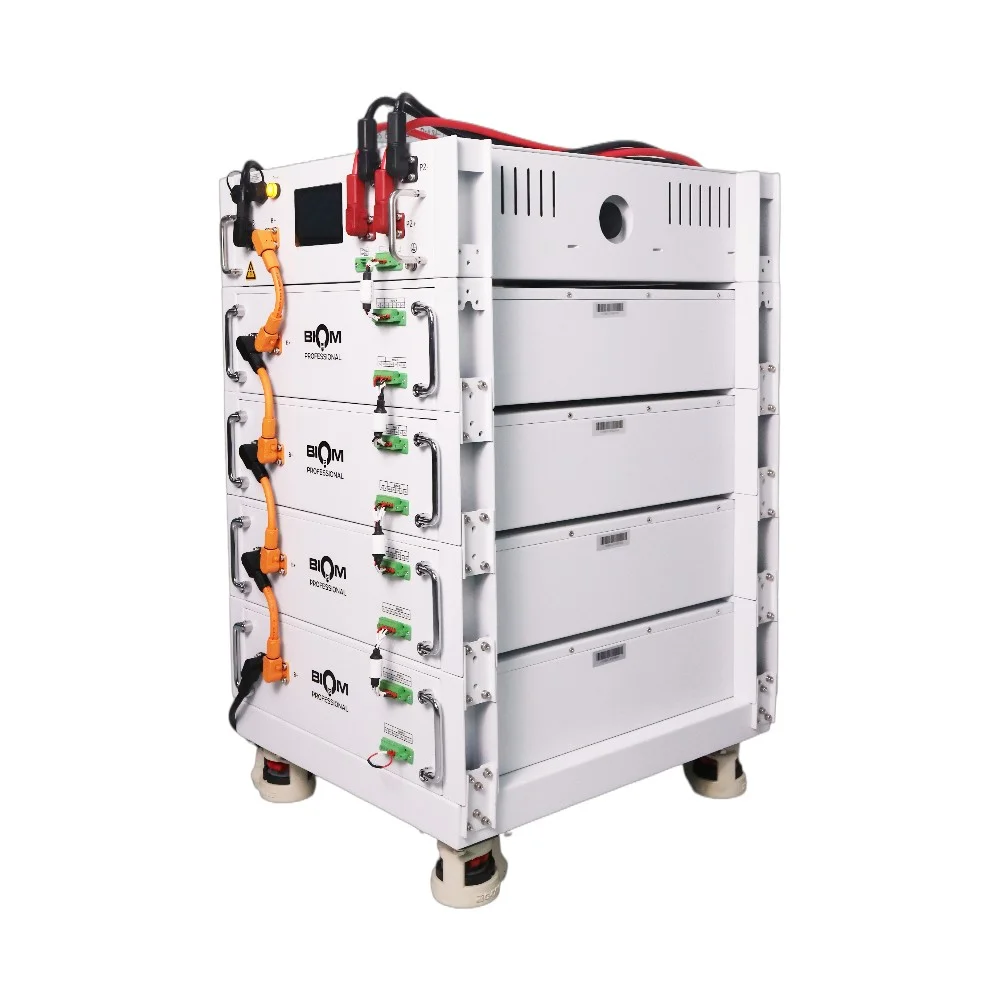 Аккумуляторная батарея Biom Professional HV 48В (51.2В) BAHV-100512-LFP 5кВтч