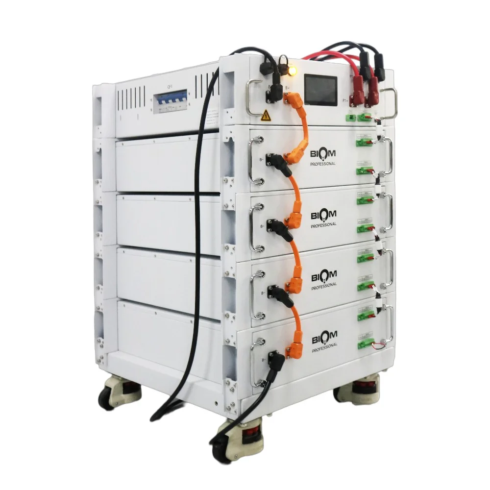 Аккумуляторная батарея Biom Professional HV 48В (51.2В) BAHV-100512-LFP 5кВтч