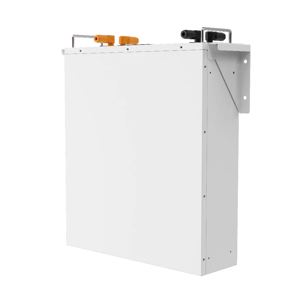 Аккумуляторная батарея Biom Professional 48В (51.2В) BALFP-R512100-UNI 5кВтч