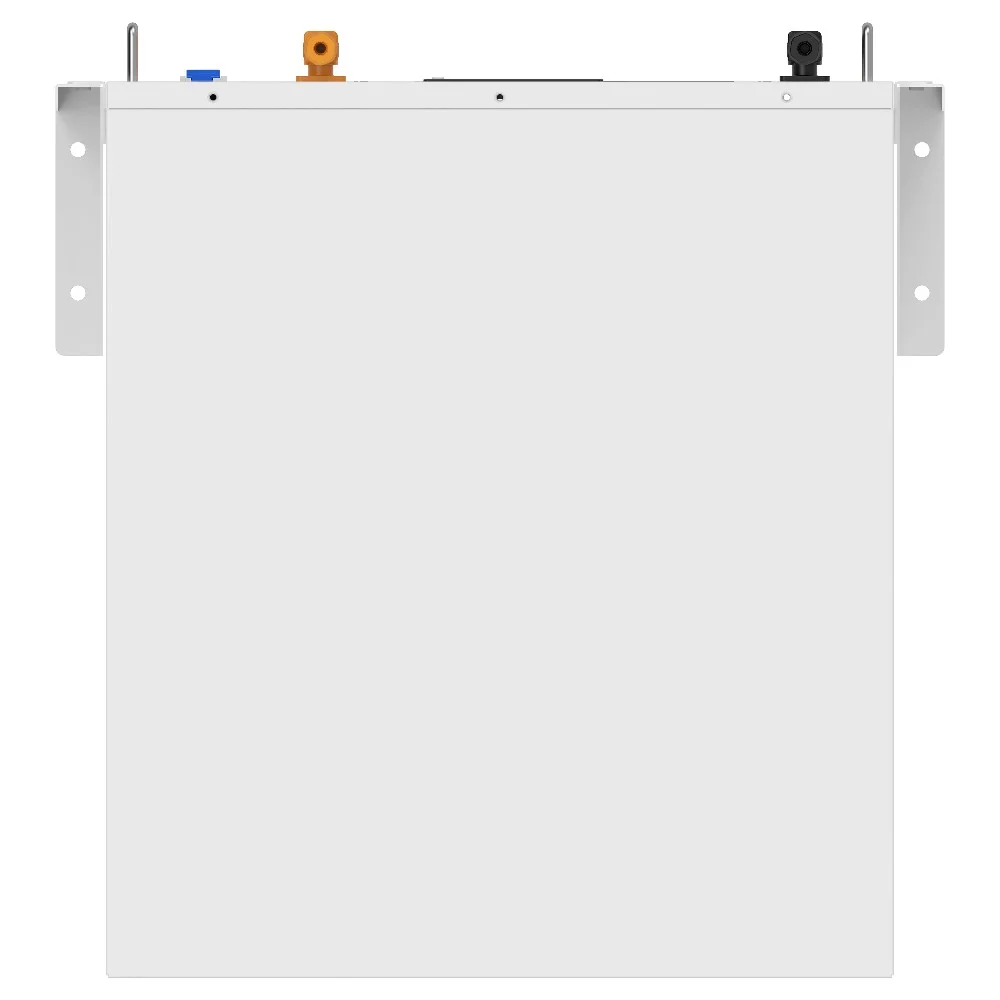 Аккумуляторная батарея Biom Professional 48В (51.2В) BALFP-R512100-UNI 5кВтч