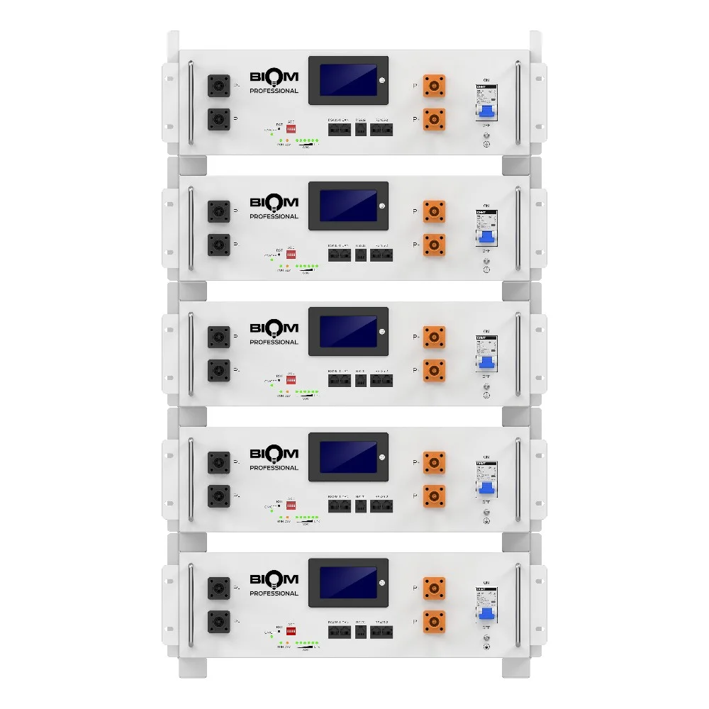 Аккумуляторная батарея Biom Professional 48В (51.2В) BALFP-R512100-UNI 5кВтч
