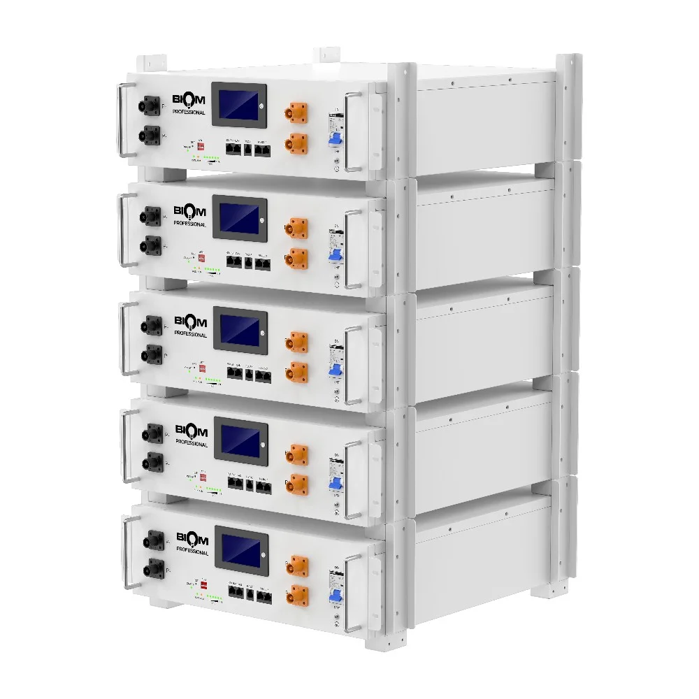 Аккумуляторная батарея Biom Professional 48В (51.2В) BALFP-R512100-UNI 5кВтч