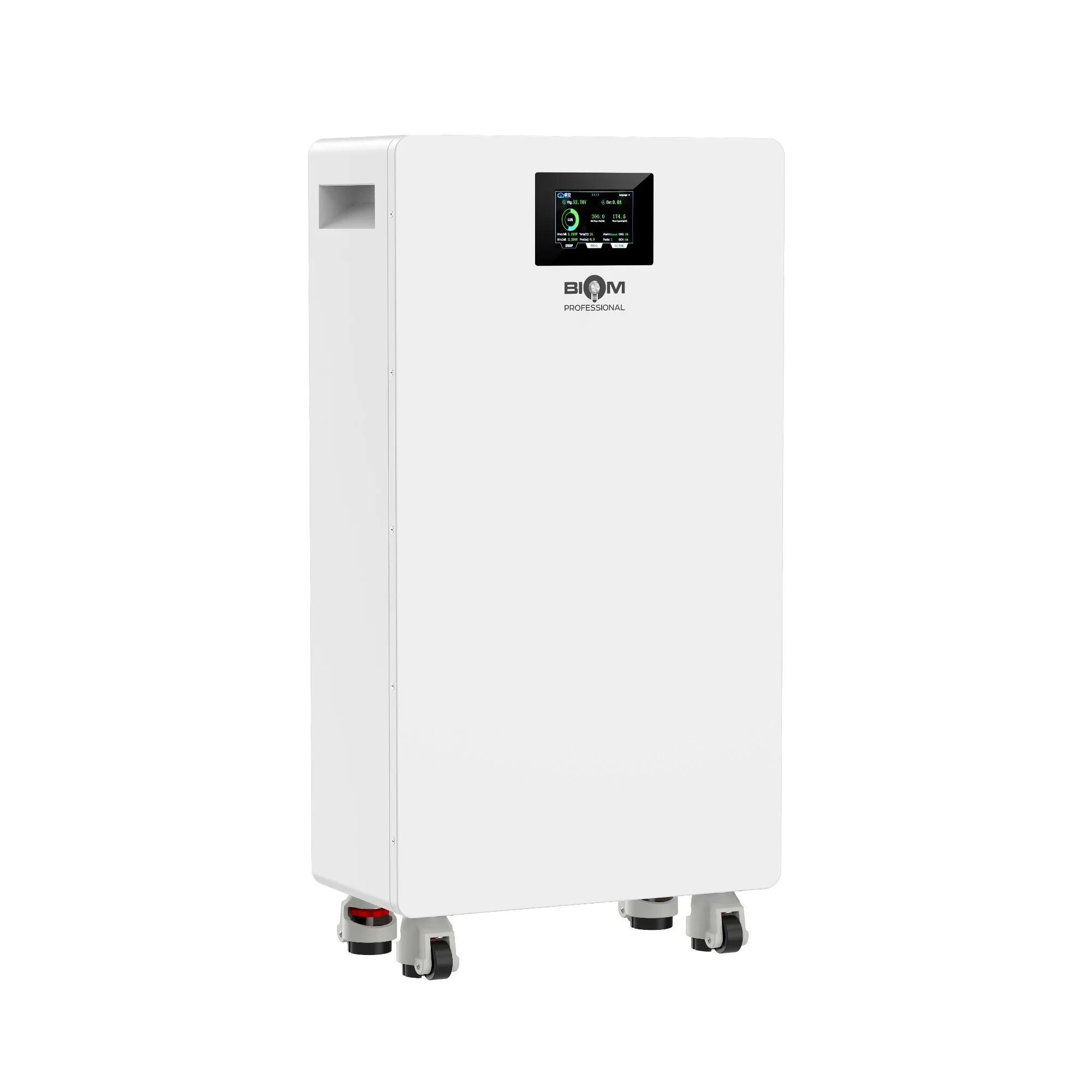 Аккумуляторная батарея Biom Professional 48В (51.2В) BALFP-512300-V2 15кВтч