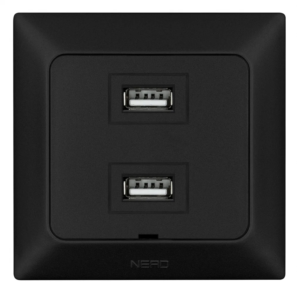 Розетка двойная USB (TYPE-A + TYPE-A) ARAS Черный, NE-AD