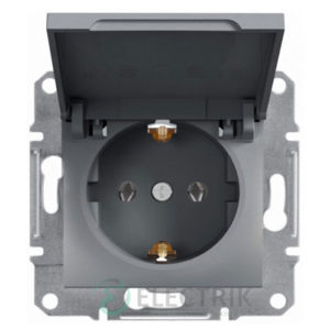 Розетка с заземлением, с крышкой сталь, Asfora EPH3100262